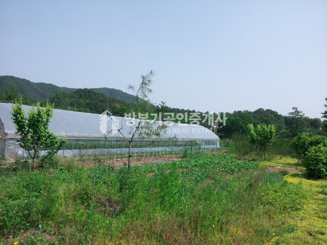 경기 양평군 지평면 망미리 평당54만 200평이상 분할매매가능한 토지매매 매매 매물번호 14815 사진 4
