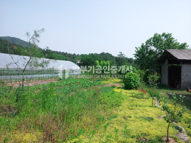 경기 양평군 지평면 망미리 평당54만 200평이상 분할매매가능한 토지매매 매매 매물번호 14815 사진 5