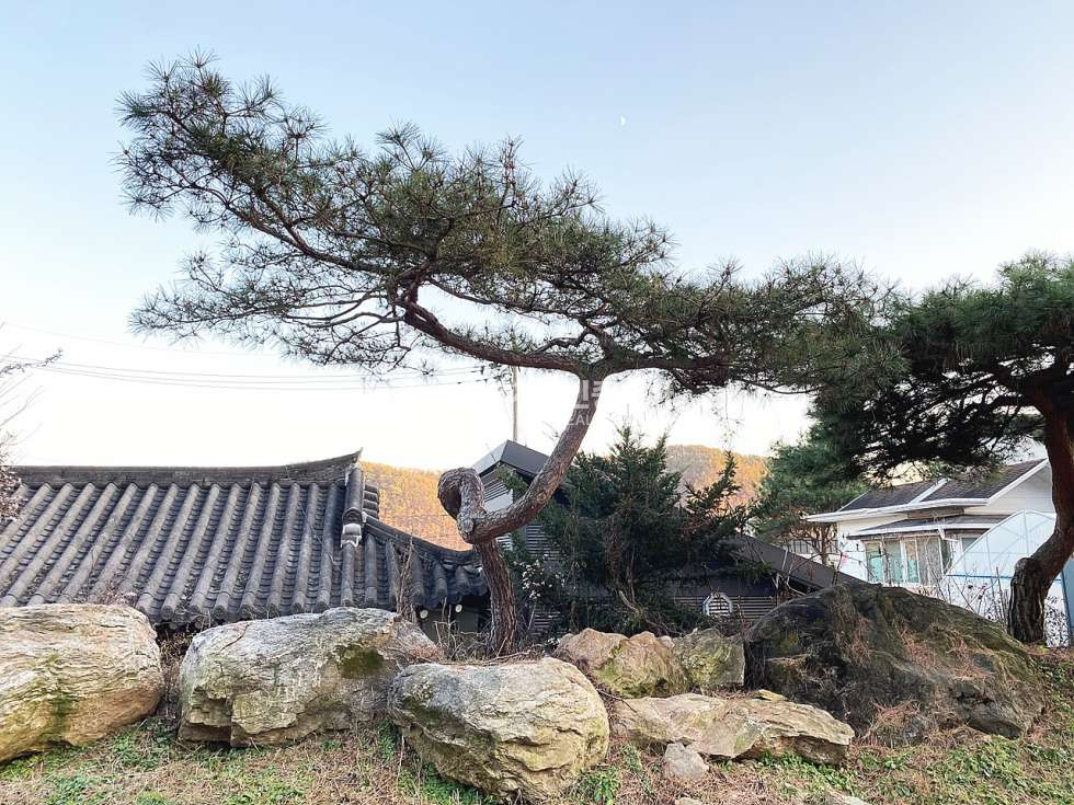 경기 양평군 옥천면 신복리 옥천면전원주택 월세500/40만원 월세 매물번호 14818 사진 7