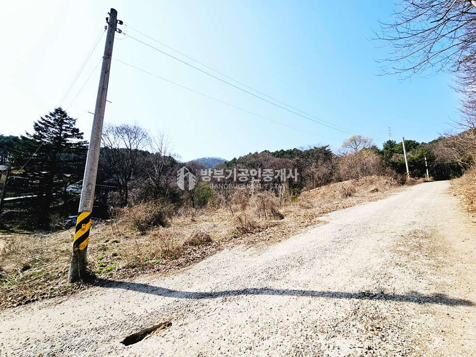 경기 양평군 양동면 매월리 양동면토지매매 780.15평/ 평당38만원 매매 매물번호 14858 사진 3