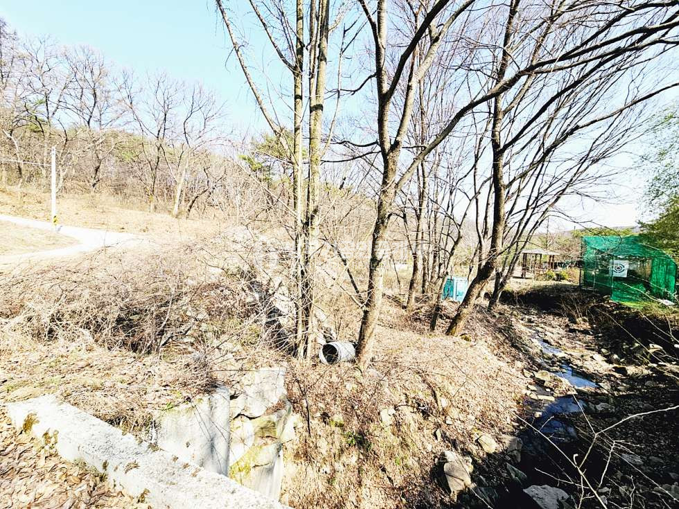 경기 양평군 양동면 매월리 양동면토지매매 780.15평/ 평당38만원 매매 매물번호 14858 사진 6