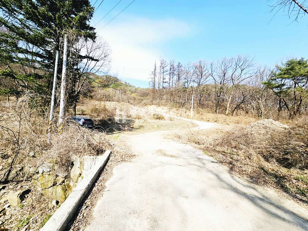 경기 양평군 양동면 매월리 양동면토지매매 780.15평/ 평당38만원 매매 매물번호 14858 사진 7