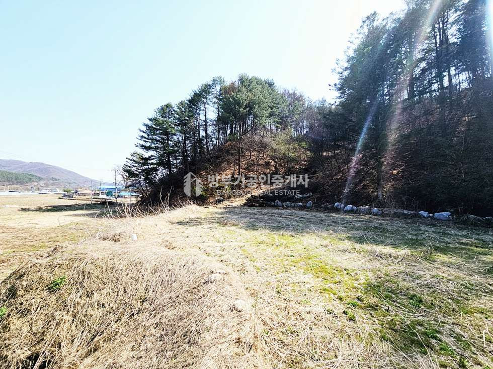 경기 양평군 양동면 삼산리 양동면토지매매 1,831.9평/ 평당45만원 매매 매물번호 14867 사진 6