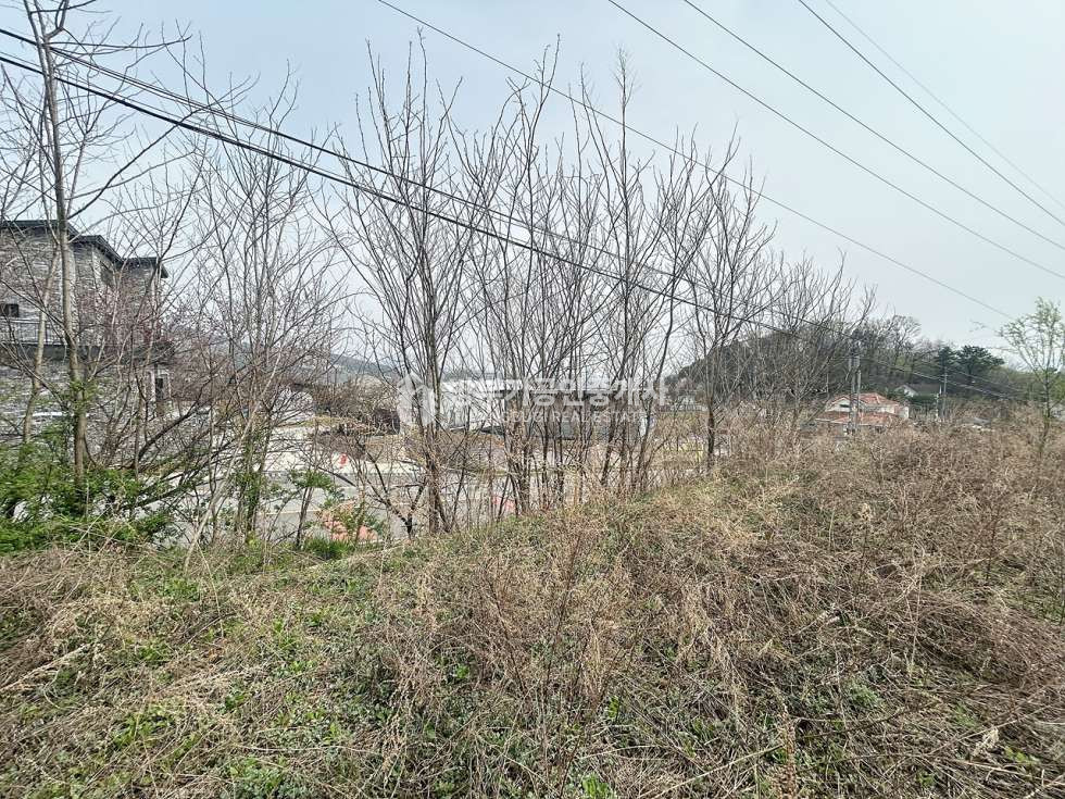 경기 양평군 양평읍 공흥리 양평읍토지매매 160.02평/ 평당219평 매매 매물번호 14876 사진 4