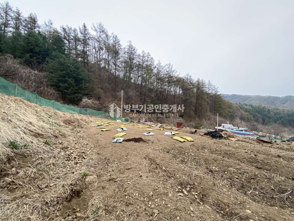 경기 양평군 단월면 부안리 단월면토지매매 가격인하 450.73평/ 평당41만원--->37만원 매매 매물번호 14882 사진 2