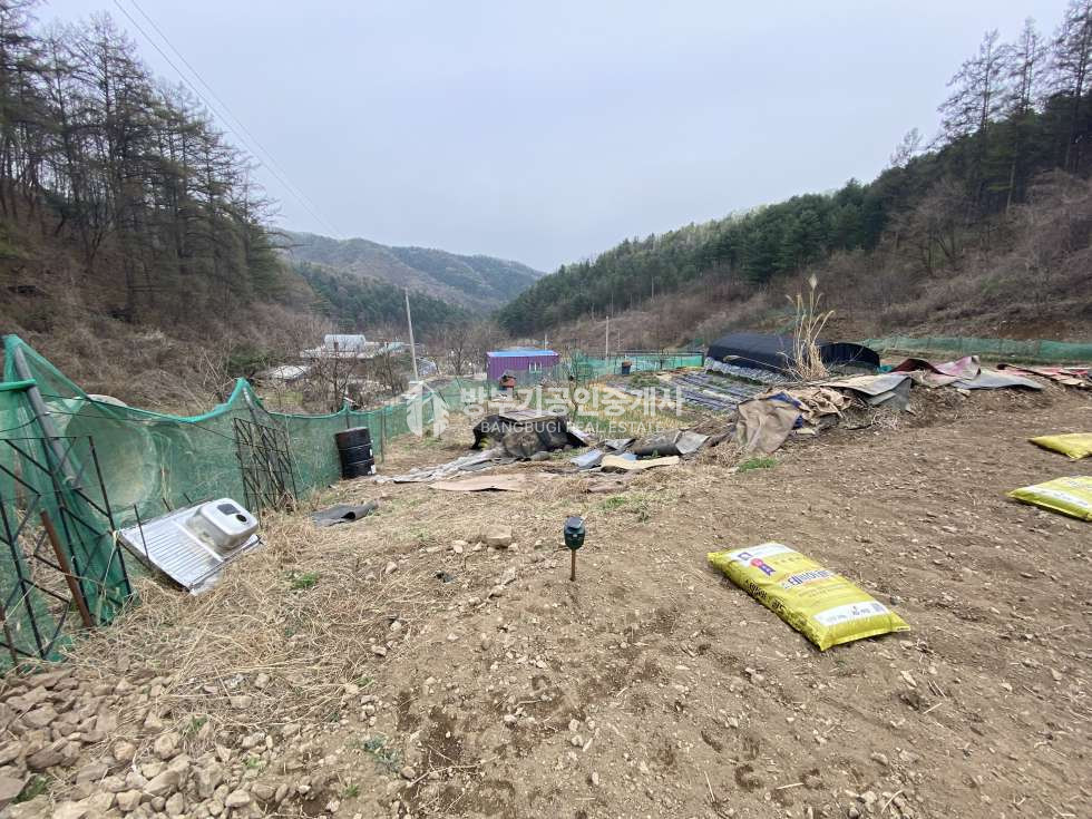 경기 양평군 단월면 부안리 단월면토지매매 가격인하 450.73평/ 평당41만원--->37만원 매매 매물번호 14882 사진 3