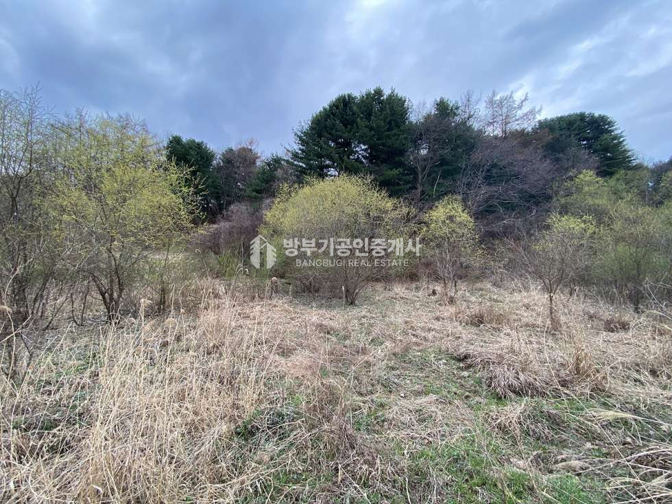 경기 양평군 용문면 신점리 용문면토지매매 776.52평/ 평당45만원 매매 매물번호 14886 사진 2