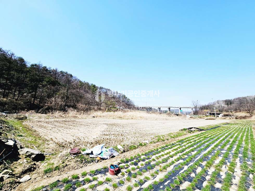 경기 양평군 양동면 단석리 양동면토지매매 519.09평/ 평당40만원 매매 매물번호 14890 사진 2