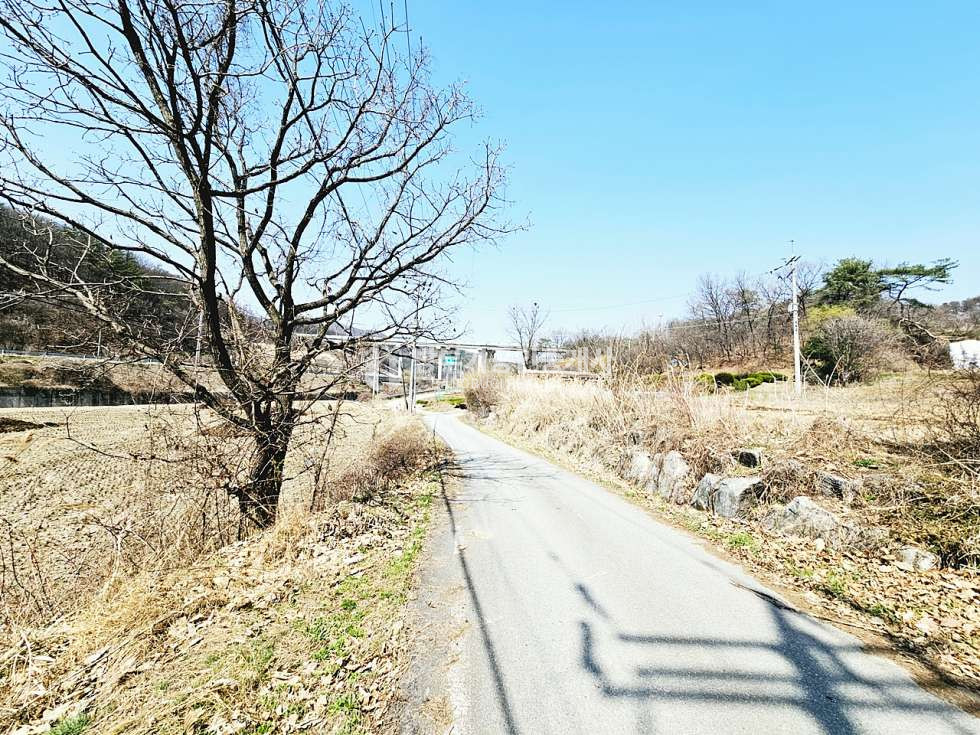 경기 양평군 양동면 단석리 양동면토지매매 519.09평/ 평당40만원 매매 매물번호 14890 사진 7
