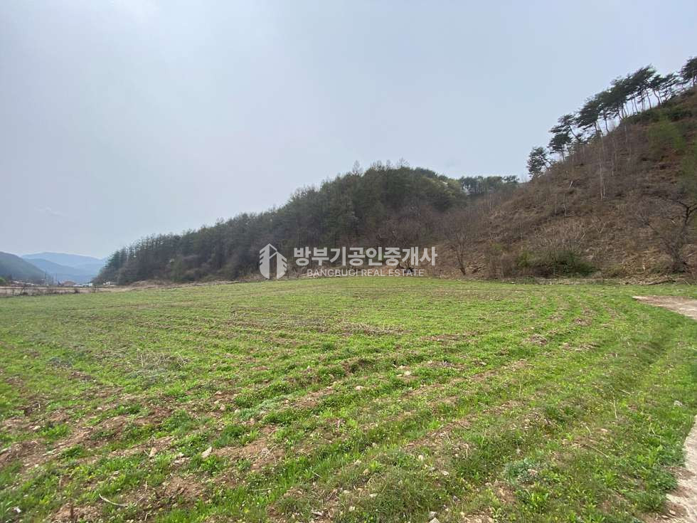경기 양평군 청운면 여물리 청운면토지매매 889.96평/ 평당50만원 매매 매물번호 14894 사진 1