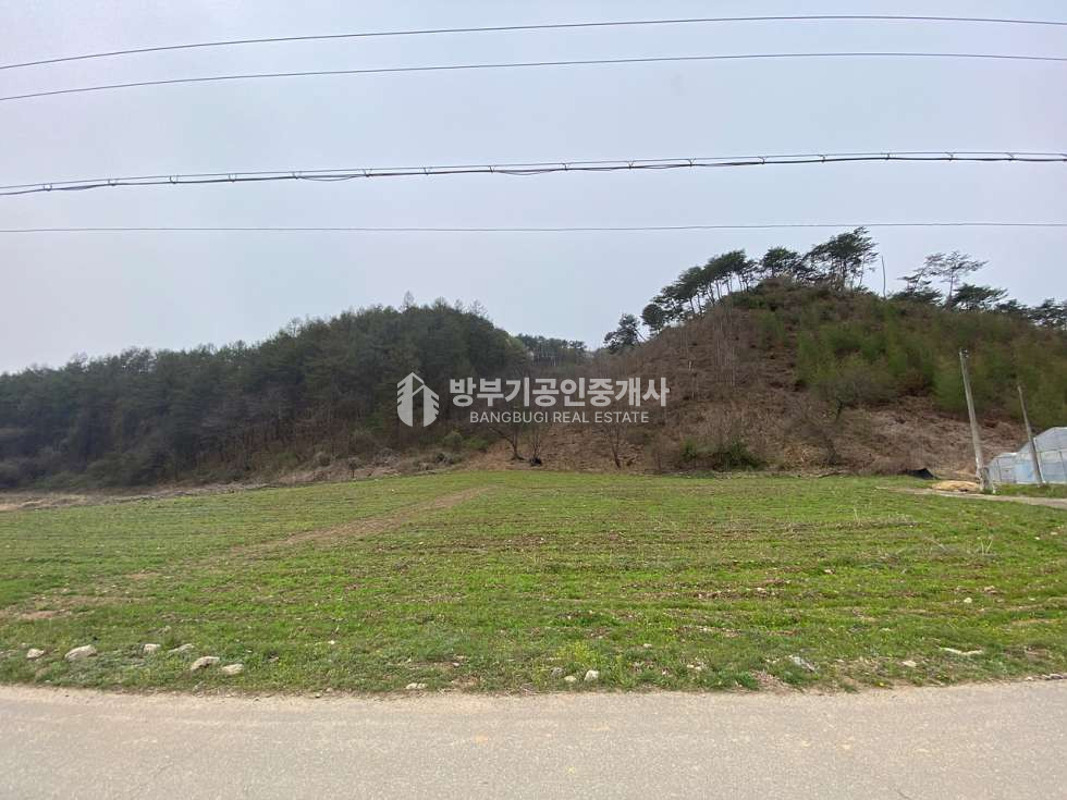 경기 양평군 청운면 여물리 청운면토지매매 889.96평/ 평당50만원 매매 매물번호 14894 사진 3